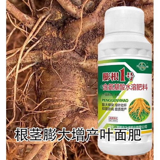 牛膝膨大增粗劑效果如何,為峰肥業膨根一號廠家批發
