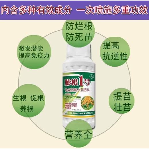 當歸調(diào)節(jié)劑膨大增粗劑復配性,為峰肥業(yè)膨根一號廠家批發(fā)