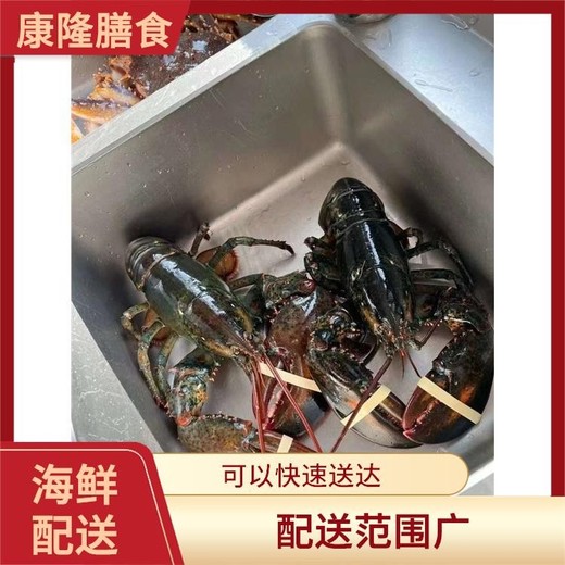 深圳坪山新区工厂食材配送,海鲜配送供应商