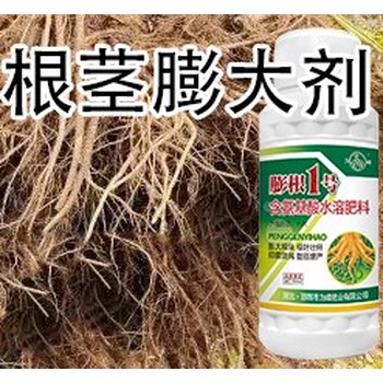 人參拔節(jié)增產(chǎn)膨大增粗劑定做,為峰肥業(yè)膨根一號廠家批發(fā)