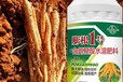 黃芪膨大增粗膨大增粗劑定做,為峰肥業(yè)膨根一號廠家批發(fā)