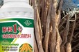 人參調(diào)節(jié)劑膨大增粗劑性價比高,為峰肥業(yè)膨根一號廠家批發(fā)