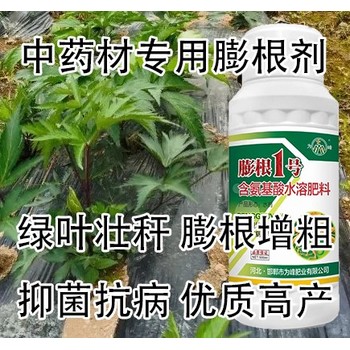 山药拔节增产膨大增粗剂生产厂家,为峰肥业膨根一号厂家批发