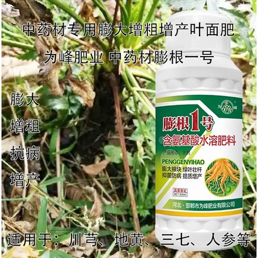 当归膨大增粗膨大增粗剂业务经理,为峰肥业膨根一号厂家批发