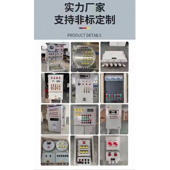 電動(dòng)閥門(mén)防爆控制箱防爆插座箱