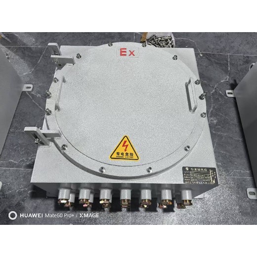 电厂防爆检修电源箱