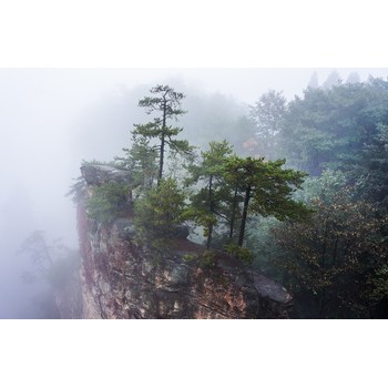 石家庄出发张家界旅游团价格,石家庄到凤凰古城旅游团