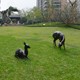 抽象圖