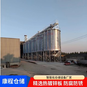 新型儲糧倉-散裝糧食立筒倉-智能糧倉