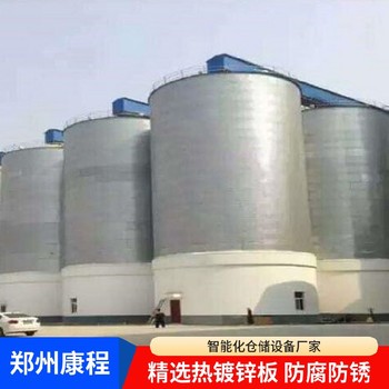 糧食存儲設備-糧食儲存罐鋼板倉工廠(chǎng)