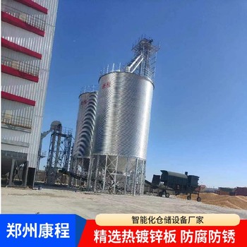 的鋼板倉公司-防潮糧倉-氣密性能好糧食圓筒倉
