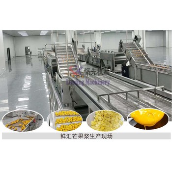 株洲LXMG-5芒果醬加工設備生產(chǎn)線電話