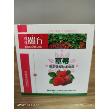 焦作博爱县禾阔双除草莓苗后除草剂