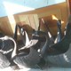 廣場(chǎng)圖