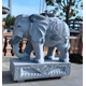 石雕象圖