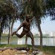 公園圖
