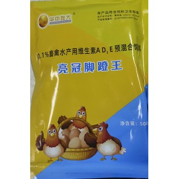 天津土雞閹雞亮冠腳蹬王