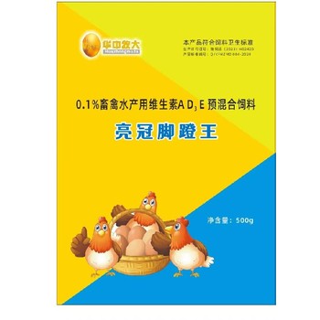 天津土雞閹雞亮冠腳蹬王