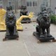 銅獅子雕塑圖