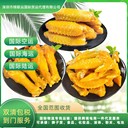 飲料國際運輸到法國走海派專(zhuān)線(xiàn)無(wú)需資料包清到門(mén)