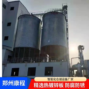糧食存儲設備-糧食儲存罐鋼板倉工廠(chǎng)