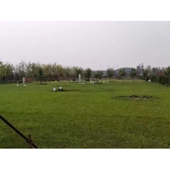 徐水區(qū)墓地怎么收費,保定公墓