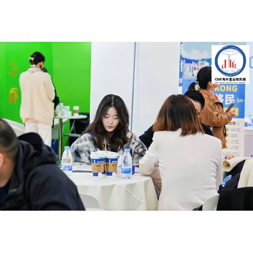 官網(wǎng)入口,上海海外置業(yè)移民展