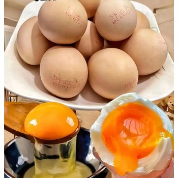 陜西可生食雞蛋認(rèn)證低GI認(rèn)證產(chǎn)品認(rèn)證