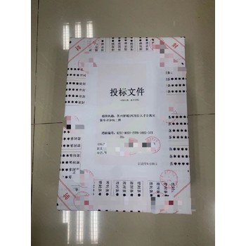 成都國網電子商務標書代寫及上傳-一對一服務