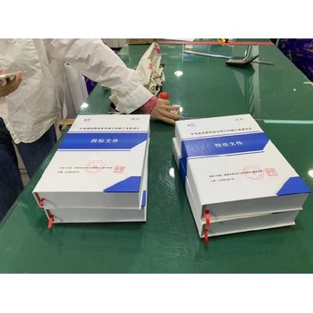 成都國網電子商務標書代寫及上傳-一對一服務