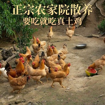 哪里有養(yǎng)雞場(chǎng)價(jià)值評(píng)估,私有養(yǎng)雞場(chǎng)價(jià)值評(píng)估代辦