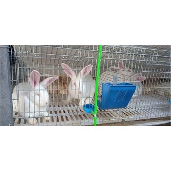 自家養兔場價值評估,商業養兔場價值評估流程