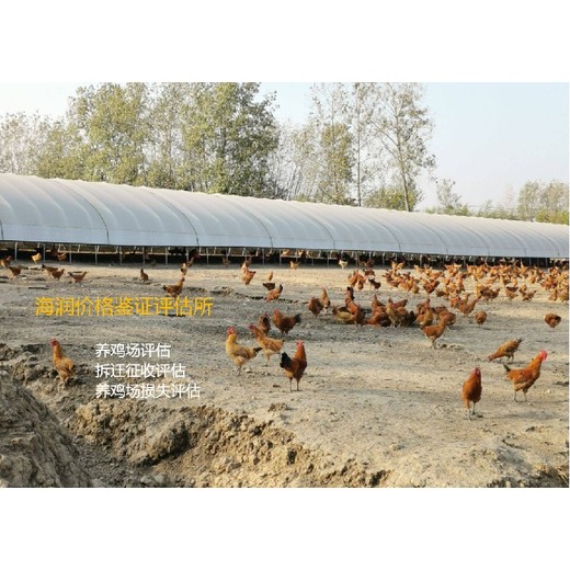 養雞場價值評估,自家養雞場價值評估報價