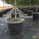 防腐根耐穿刺透水透氣除草土工布