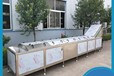 藥材殺青機蔬菜清洗漂燙機鵪鶉蛋蒸煮機