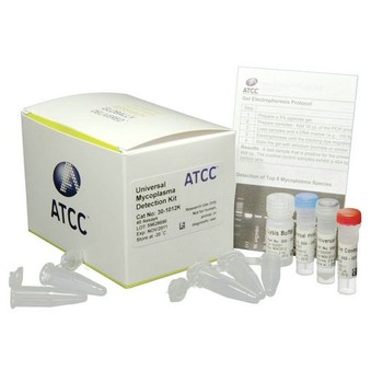 ATCC13883肺炎克雷伯菌0代菌株標準菌株