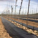 營養(yǎng)除草布廠家報價
