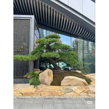 上海樹圍景觀柏坡黃景墻定制價格多少錢,天然原石柏坡黃景墻廠家