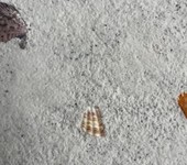 清水混凝土藝術構件,廈門藝術混凝土價格