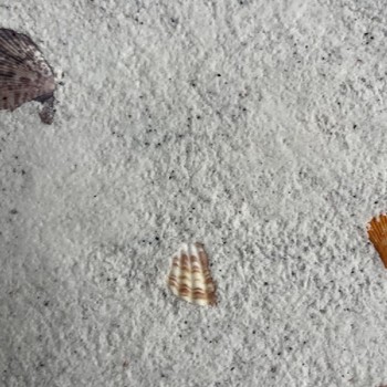 混凝土藝術(shù)圍欄,龍巖藝術(shù)混凝土價(jià)格