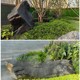 草坪石造景施工置景圖