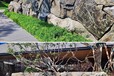 六安魚池造景中國黑景石生產基地電話