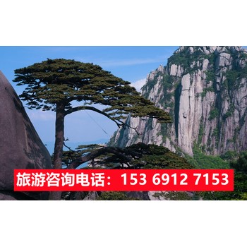 石家庄旅行社黄山旅游,石家庄到黄山旅游线路报价