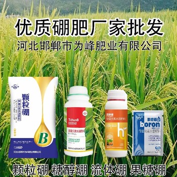 滴灌子硼肥什么牌子好,為峰肥業硼肥廠家批發