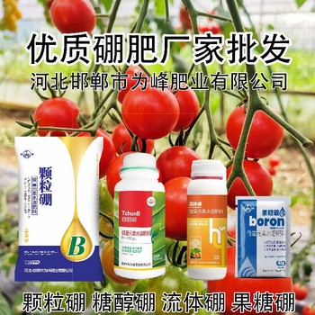 糖醇硼老廠家硼肥什么牌子好,顆粒硼廠家