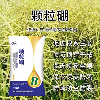 瓶裝老廠家硼肥產(chǎn)品定做,為峰肥業(yè)硼肥廠家批發(fā)