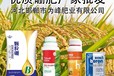 沖施高純度硼肥招商,為峰肥業優質硼肥廠家批發