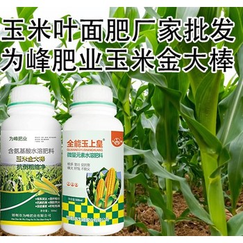 玉米金大棒玉米葉面肥廠家電話,玉米高產(chǎn)肥料