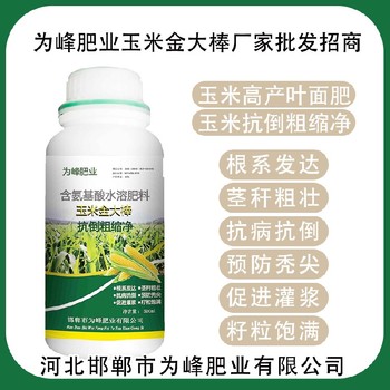 預(yù)防黃葉玉米金大棒玉米葉面肥招商,金大棒生產(chǎn)廠家