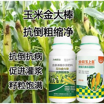 玉米金大棒玉米葉面肥批發(fā),玉米金大棒招商